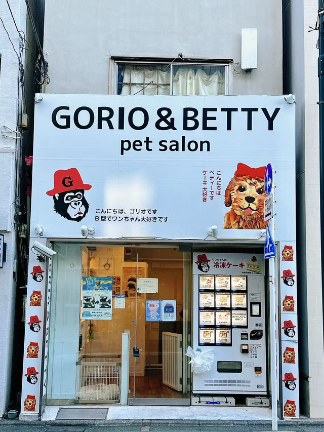 自由之丘的午後漫步：品味東京的優雅與靜謐