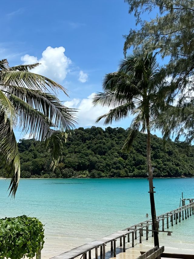 探索大溪地海岸線的迷人之旅：陽光、海浪與探險的雙重奏。