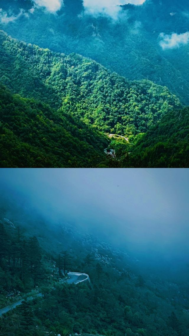 深秋太白山，絕美雲海，遙望拔仙台。