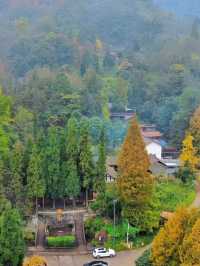 貓貓廟就去開啟行山之旅。