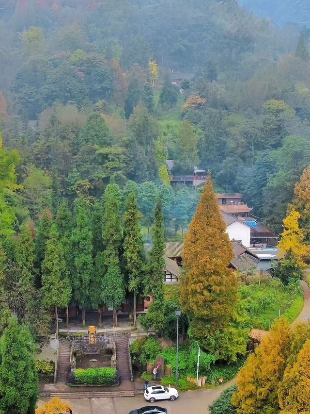 貓貓廟就去開啟行山之旅。