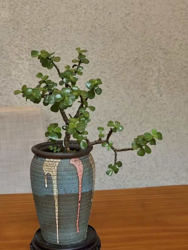 上海周邊一日遊｜去蕪湖體驗千年歷史的古鎮文化。