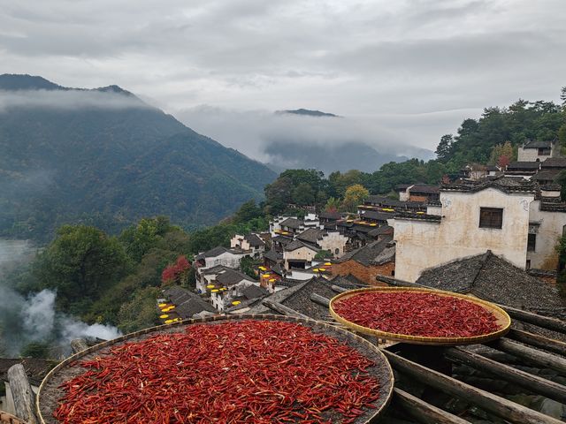 婺源篁嶺，一個美麗且富有特色的旅遊地，以下是一份遊玩攻略供您參考。