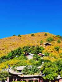 朝陽鳳凰山‖一山、三寺、兩舍利。