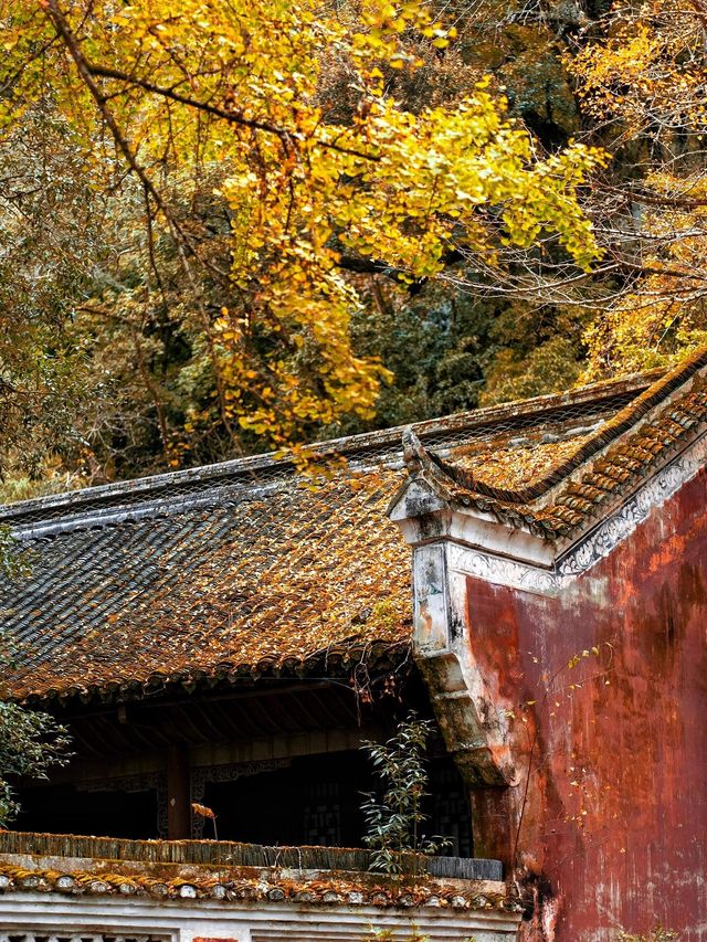 貴州秘境探險：明代飛雲崖的靜謐時光 。