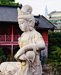 毗盧寺的銀杏天花板/喧囂中的淨土。