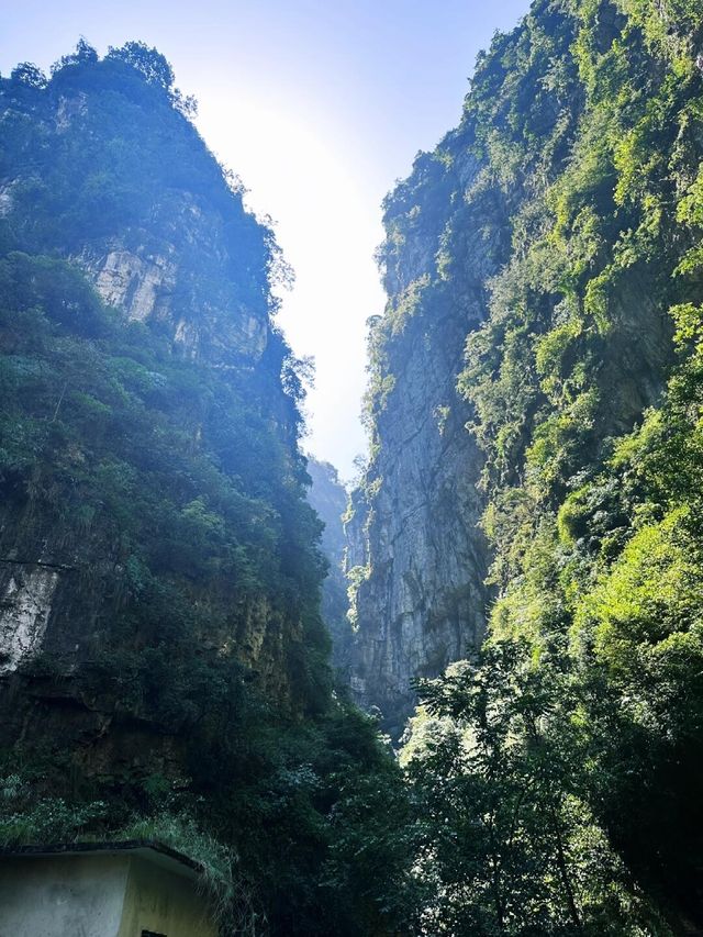 探秘人間仙境大瓦山。