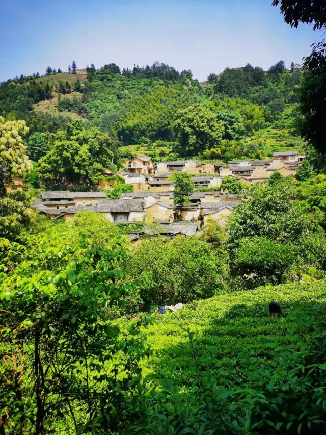 3-Day Lishui Itinerary: Must-See Attractions