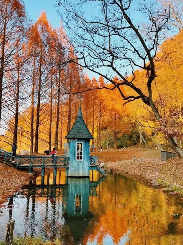 Saitama Prefecture: When Fairy Tales Come to Life