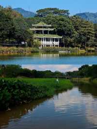 深圳唯一想去無數次的公園，治癒系的天花板