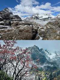 行山不是為了趕路，子龍秘境變線下撤版！！！