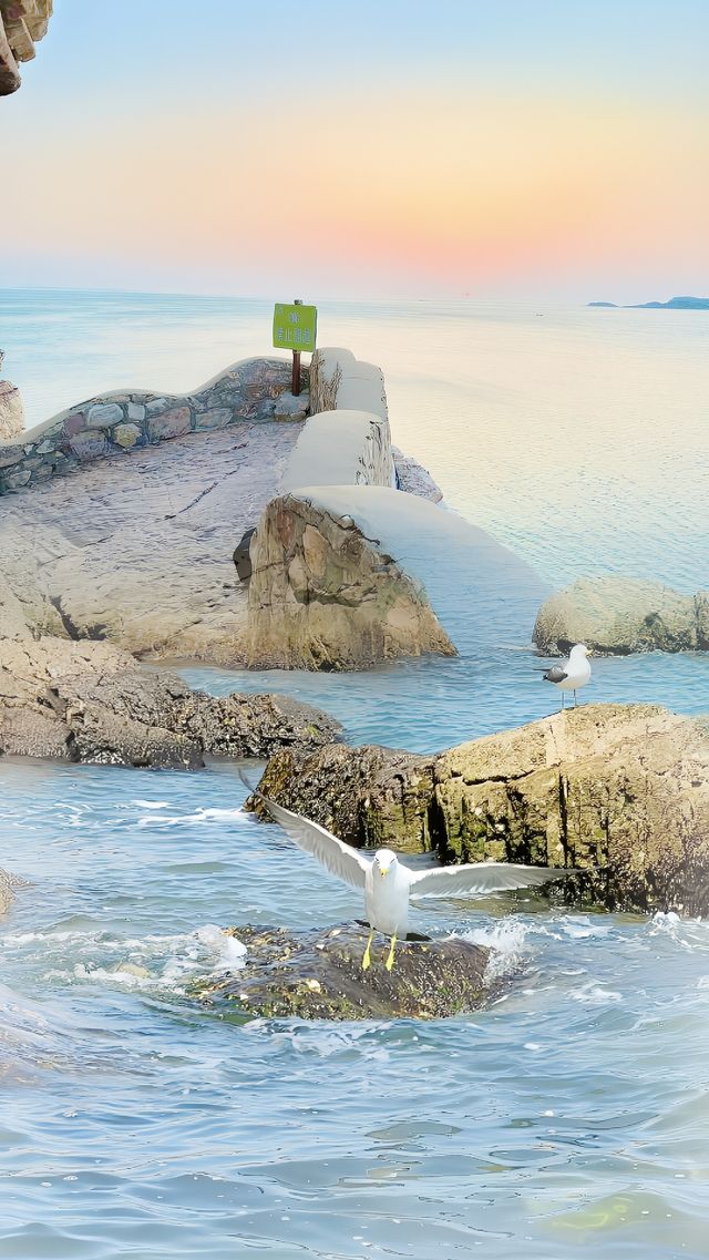 強力推薦最美海島—— 大黑山島