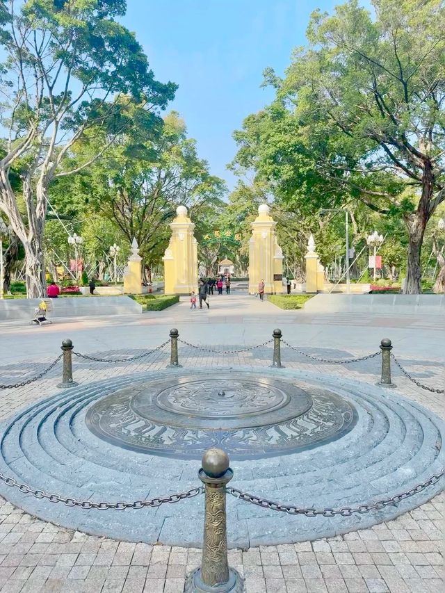 廣州人民公園楓葉手機直拍！真的已經紅了