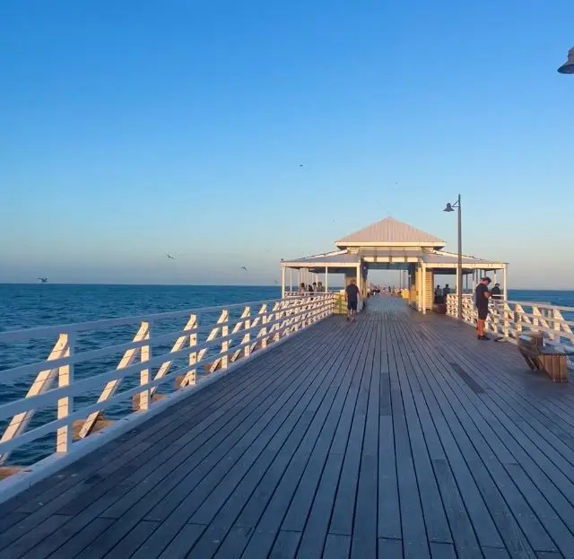 Brisbane Fishing Paradise: Treasures of the Sea