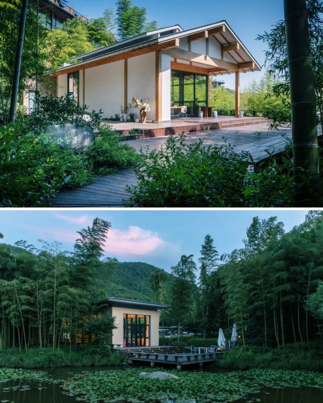 湖州·慧心谷承包整片茶山的全景別墅酒店