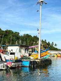 Magical Experience of Whale Watching in Mirissa