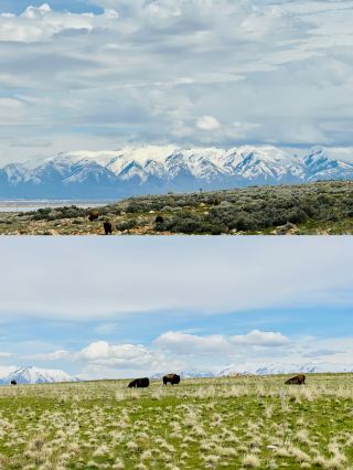 Yancheng Lake - Antelope Island State Park Detailed Guide