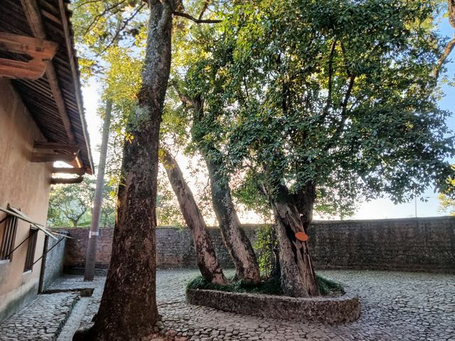 紅井景區