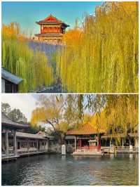 濟南之旅已完成,真的不建議1月前往