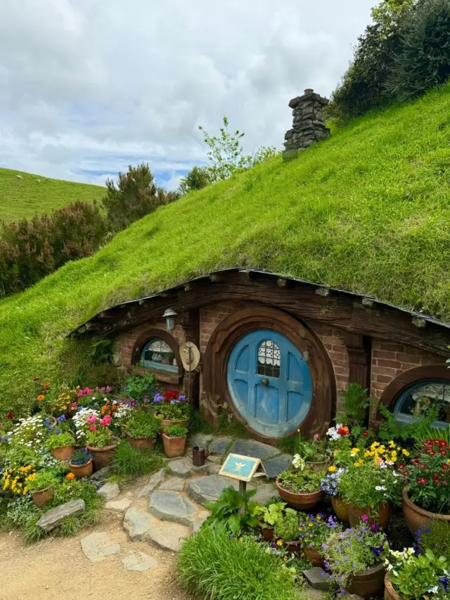 오클랜드 스카이다이빙 | 평생 한 번은 꼭 경험해야 할 짜릿한 여행