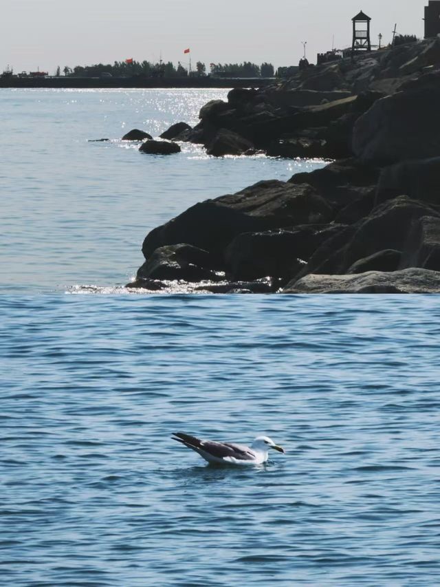 小眾旅遊地坐渡輪才能到的-桑島