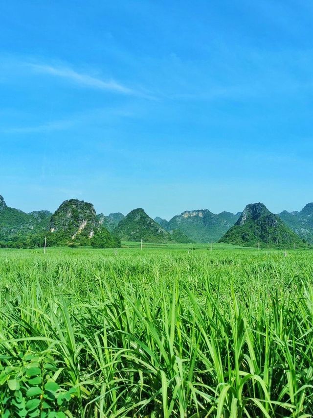 6天玩轉廣西南寧-通靈峽谷 超詳細攻略來啦