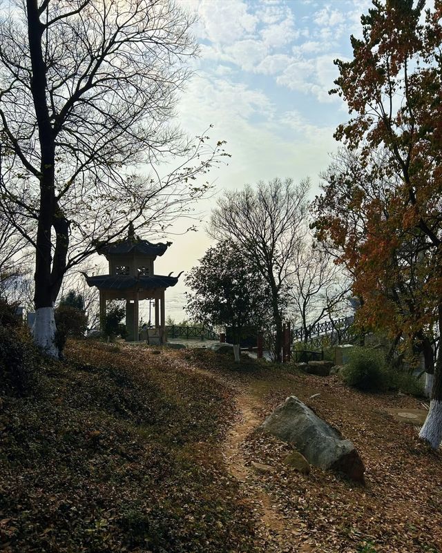 嘉興乍浦九龍山國家森林公園，一場自然與歷史的盛宴
