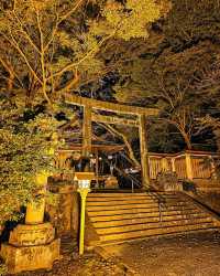 "金崎宮夜遊：燈影中的歷史與浪漫" 