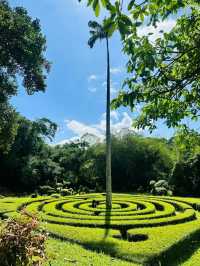 Exploring the Royal Botanic Gardens in Kandy, Sri Lanka