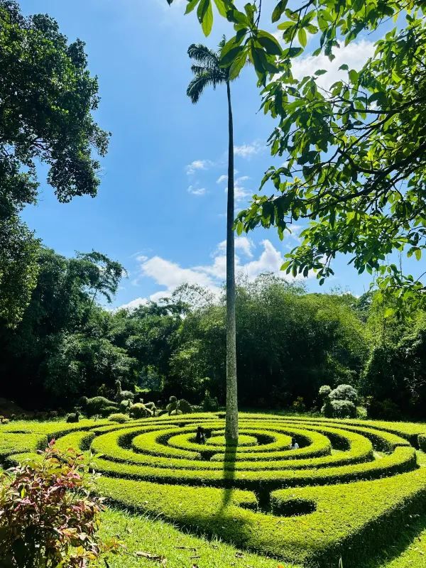 Exploring the Royal Botanic Gardens in Kandy, Sri Lanka