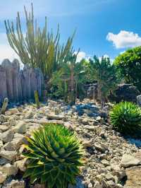 Auckland Botanic Gardens: A Scenic Escape