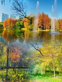珠江公園 | 城市綠肺裏的夢幻之約