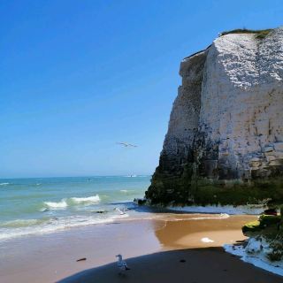 Botany Bay at Kent: A Glance at Nature's Wonders