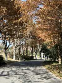 隱藏在城市中的寶藏公園，景美人少，少人知曉