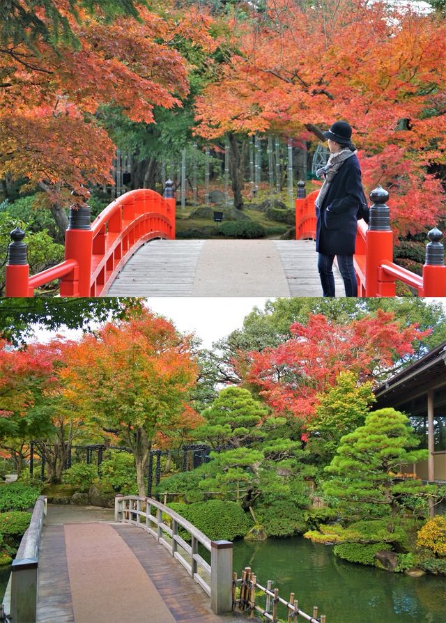 日本•島根縣｜由志園、足立美術館