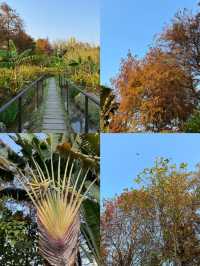 澳門氹仔人工濕地公園，一個小眾寧靜的寶藏之地
