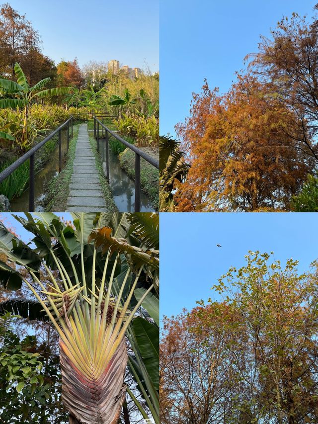 澳門氹仔人工濕地公園，一個小眾寧靜的寶藏之地