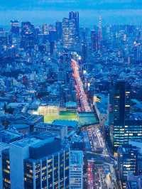 東京行程｜豪德寺與澀谷一日遊
