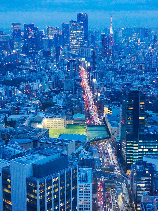 東京行程｜豪德寺與澀谷一日遊