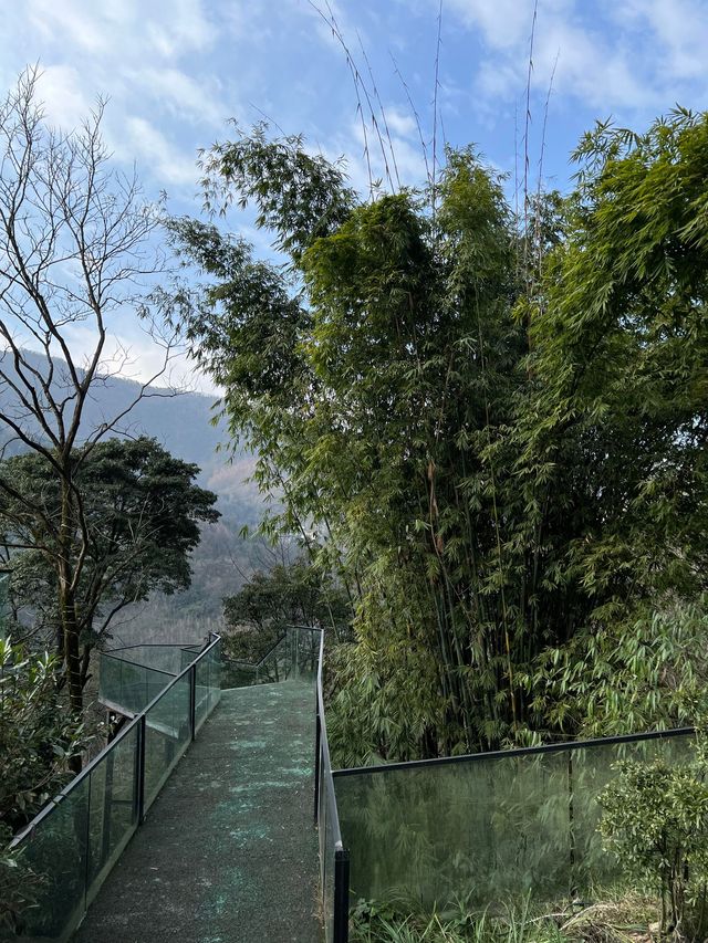 新年第一站，躲進青城山嘅溫泉烏托邦