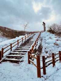 6日暢遊日本 真溫泉洗去旅途疲憊