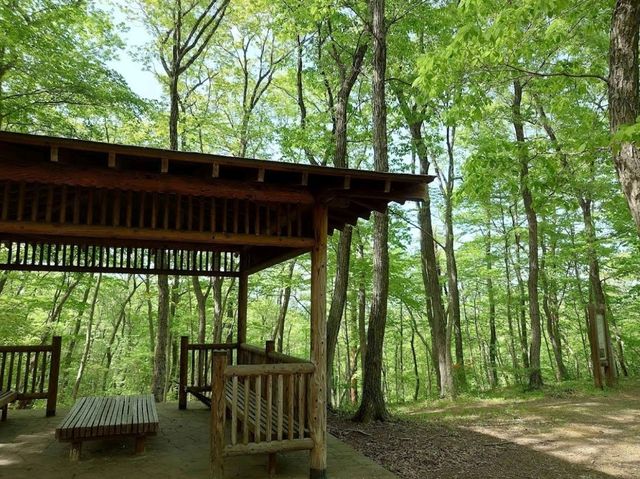 青葉森綠地公園