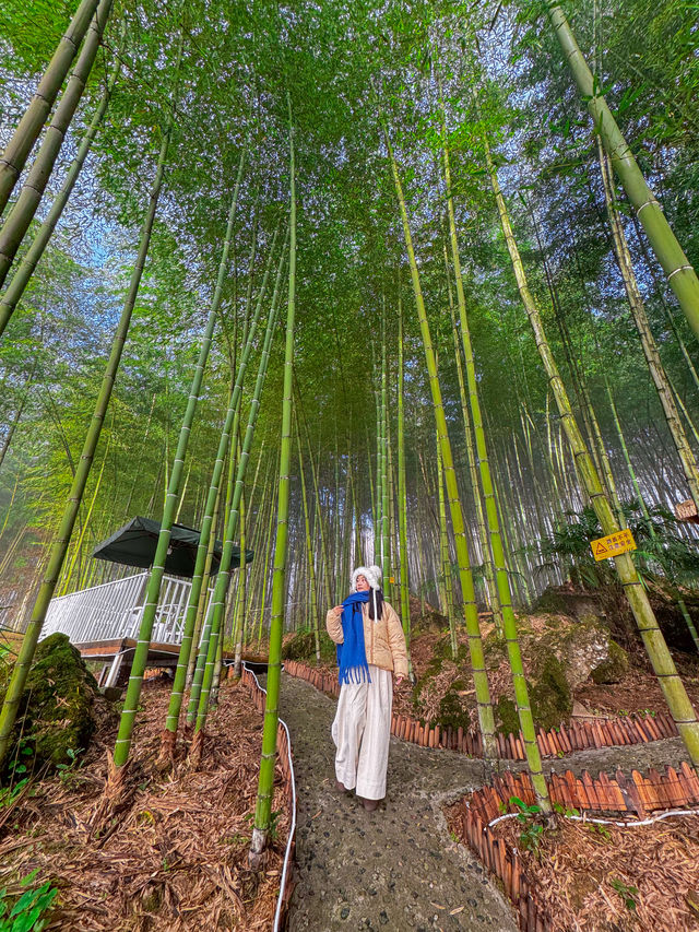 帶娃住進竹林雲海裡 仲可以躺平浸私湯