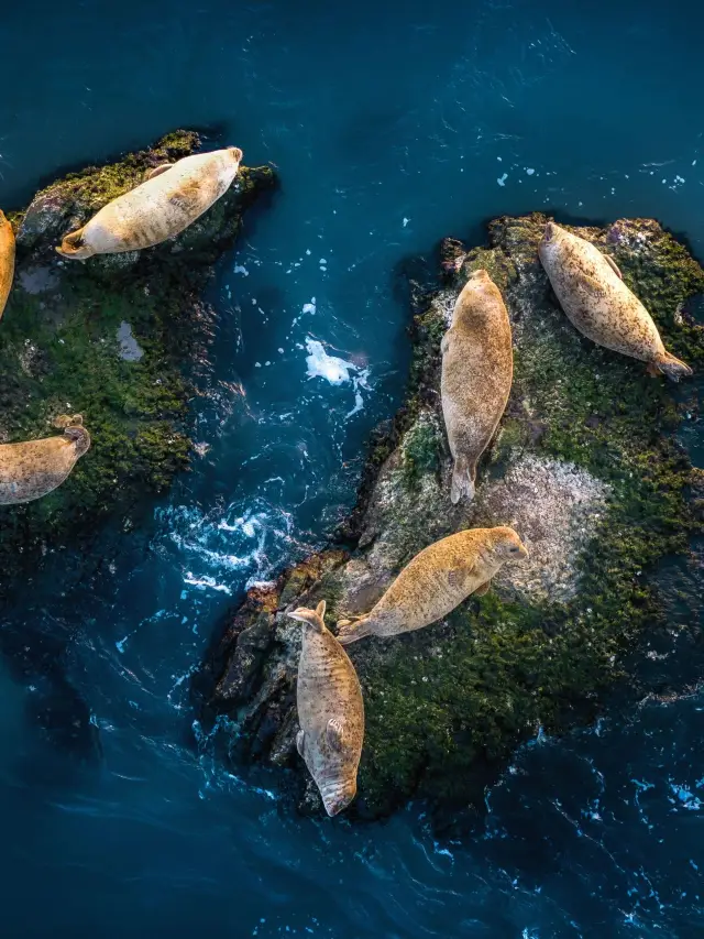 3-Day South Africa Winter Travel Guide: A Heartwarming Journey