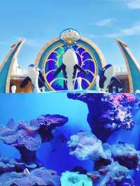 世界最美海洋館？上海海昌是嗎？