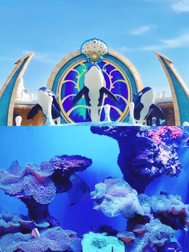 世界最美海洋館？上海海昌是嗎？