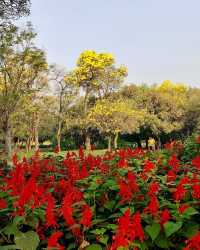 拉克什米維哈爾公園：印度賴布爾的自然綠洲