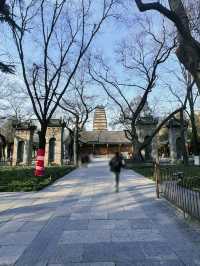 小雁塔遺址公園的一天