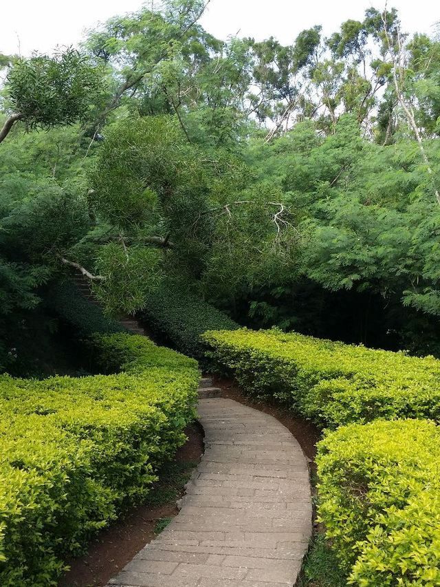 廣西南寧-德天瀑布-北海6日遊 冬日暖心之旅