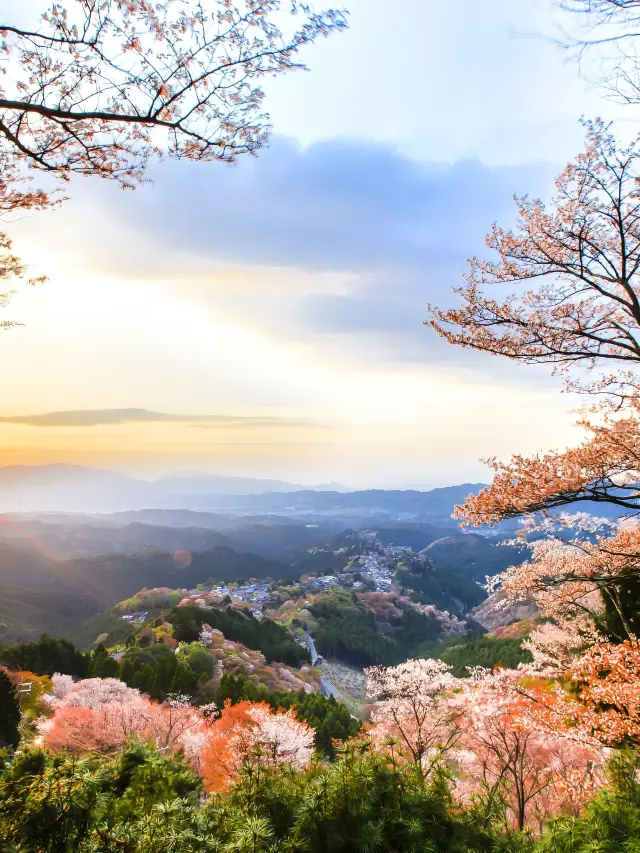 日本7日遊 玩轉熱門景點全攻略
